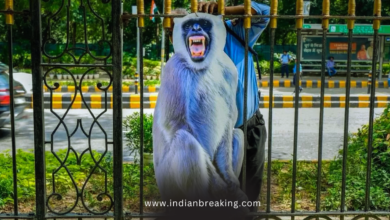 G20: दिल्ली शिखर से बंदरों को डराने की कोशिश कर रही है
