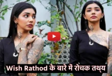 Wish Rathod: Income, Age, Height, Education, Biography, Boyfriend, Family, hairstyle name, Net Worth, Salary and more